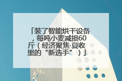 装了智能烘干设备，每吨小麦减损60斤（经济聚焦·夏收里的“新选手”）